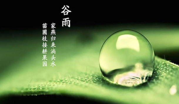 今日谷雨 | 谷得雨而生，夏天要醒了！(图1)